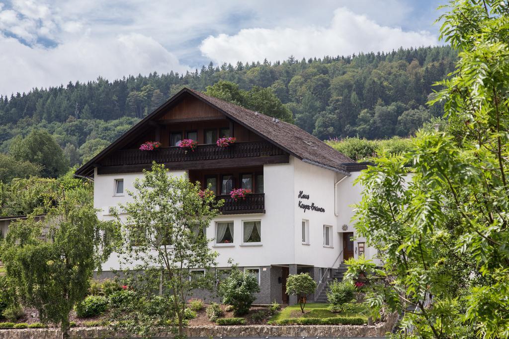 Hotel Haus Kesper-Brunen Willingen  Exteriér fotografie