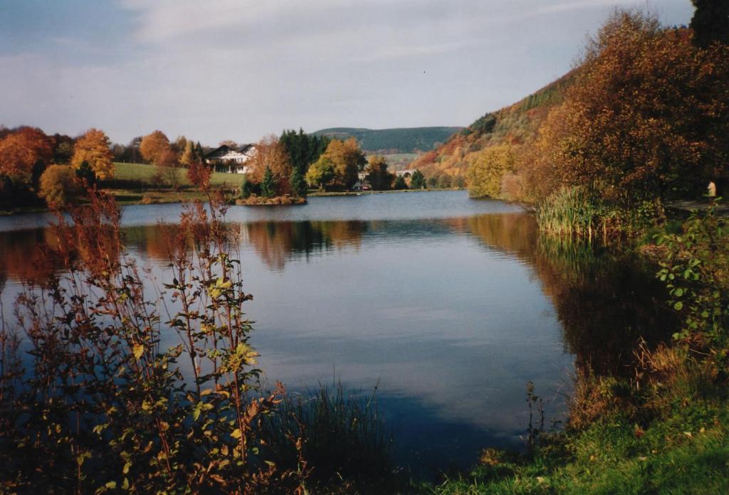 Hotel Haus Kesper-Brunen Willingen  Exteriér fotografie